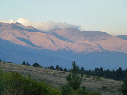 LABIO_Nationalpark_Tunari